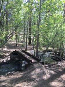 ガリーナ公園で里山散策 ④ Thomas Creek Trail at Galena Creek Reginal Park