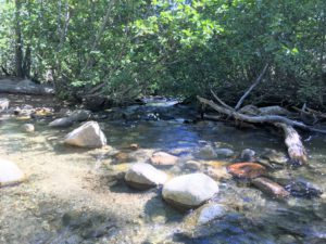ガリーナ公園で里山散策 ② Nature Trail at Galena Creek Reginal Park